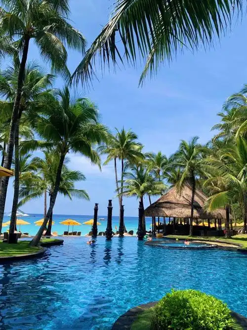 ���ɱ�Ӧ����